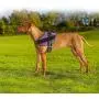 matilor Dog Harness, No Pull Dog Vest Harness Reflective Adjustable for Small Medium Large Dogs with Handle matilor Dog Harness, No Pull Dog Vest Harness Reflective Adjustable for Small Medium Large Dogs with Handle