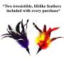 Pet Fit For Life Multi Feather Teaser and Exerciser for Cat and Kitten - Cat Toy Interactive Cat Wand