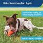 PetSafe Medium Sportsmen Squeak N Treat Booya Pet Chew Toy