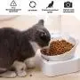 Hawiton Cat Bowl Elevated - Cat Food Bowl/Water Bowl, Pet Food Bowl Slow Cat Feeder Bowl with Stand Anti Ant Small Spill Proof Feeding Wide Bowls 15°Tilted Pet Bowl for Dogs Cats Puppy