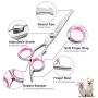 VONLUXE Grooming Scissors for Dogs and Cats, 6 in 1 Pet Scissors Stainless Steel Titanium Coated Safety Round Tip, Thinning, Straight, Curved Scissors with Comb and Hairbrush