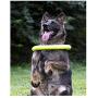 Large Dog Toys Ring Water Floating, Outdoor Fitness Flying Discs, Tug of War Interactive Training Ring for Medium and Big Dogs, 12 inch