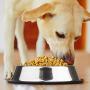 LEHOSEK Set of 2 Stainless Steel Dog Bowl with Rubber Base, Pets Feeding Bowl and Water Bowl for Dogs and Cats