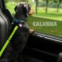 CALHNNA 2021 Upgraded Dog Seatbelt Pet Dog Car Seat Belt, 2 Pack Adjustable Safety Dog Seat Belts for Large/Small Dogs, Elastic & Durable Nylon Dog Car Harness