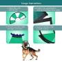 ProCollar Pet Recovery Cone E-Collar for Dogs and Cats - Always Use with Your Pets Everyday Collar - Comfortable Soft Collar is Adjustable for a Secure and Custom Fit