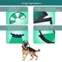 ProCollar Pet Recovery Cone E-Collar for Dogs and Cats - Always Use with Your Pets Everyday Collar - Comfortable Soft Collar is Adjustable for a Secure and Custom Fit ProCollar Pet Recovery Cone E-Collar for Dogs and Cats - Always Use with Your Pets Everyday Collar - Comfortable Soft Collar is Adjustable for a Secure and Custom Fit