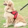 Adjustable Step in Dog Harness ZGENERATION ZG1 Series Heavy Duty NO Pull Tactical Dog Harness Adjustable Step in Dog Harness ZGENERATION ZG1 Series Heavy Duty NO Pull Tactical Dog Harness