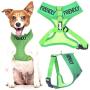 Dexil Limited Friendly (Known as Friendly to All) Green Color Coded Non-Pull Front and Back D Ring Padded and Waterproof Vest Dog Harness Prevents Accidents by Warning Others of Your Dog in Advance