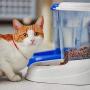 Ferplast Zenith Cat and Dog Food Dispenser, 29.2 x 20.2 x 28.8 cm, 3 Liter
