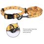 Pet Essentials Colors Classic Dog Collars, Personalized Dog Collars, Adjustable Collars for Dogs Outdoor Training Walking