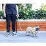 iChoue Dog Harness Easy On and Off Front Back 2 Leash Attachments Adjustable Lightweight Harness for Small and Medium Dogs