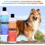 Panagenics | Pet Shampoo and Leave-in Conditioner Combination Set (16 Ounce Bottles) - Safe for All Animals, Unscented, Contains Citrus and Aloe