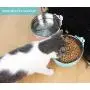 Linifar Crate Dog Bowl, Removable – 2 Pack of Stainless Steel Hanging Pet Holder Cat Cage Food Bowl & Kennel Water Feeder with Food Spoon for Puppy Bird Ferret Guinea Pig Rat Chinchilla