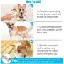 Dallfoll Dog Nail Grinder with LED Light, 3-Speed Electric Rechargeable Pet Nail Trimmer with Pet Nail Clipper and File, Painless Paws Grooming & Smoothing for Small Medium Large Dogs Pet Dallfoll Dog Nail Grinder with LED Light, 3-Speed Electric Rechargeable Pet Nail Trimmer with Pet Nail Clipper and File, Painless Paws Grooming & Smoothing for Small Medium Large Dogs Pet