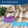 PetSafe Current Pet Water Fountain, Circulating Drinking Fountain for Cats and Dogs, Large, Purple, 120 oz. Water Capacity