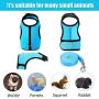 SATINIOR 2 Pieces Bunny Rabbit Harness with Leash Cute Adjustable Buckle Breathable Mesh Vest for Kitten Puppy Small Pets Walking