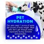 Portable Collapsible Pet,Dog,Cat,Animal Travel Drinking Water Bottle Bowl Dispenser. Bring on Walks, Hikes and any activities. Mans best friend Portable Water Bottle for on the go pet owners (PINK)