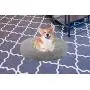 Mind Reader Plush Faux Fur Donut Pet Cuddler, Shaggy Round Comfortable Bed for Dogs, 23'' x 23'', Gray Mind Reader Plush Faux Fur Donut Pet Cuddler, Shaggy Round Comfortable Bed for Dogs, 23'' x 23'', Gray