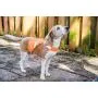 2PET Dog Hunting Vest and Safety Reflective Vest - Used for High Visibility - Protects Pets from Cars & Hunting Accidents in Both Urban and Rural Environments - Choose Color and Size 2PET Dog Hunting Vest and Safety Reflective Vest - Used for High Visibility - Protects Pets from Cars & Hunting Accidents in Both Urban and Rural Environments - Choose Color and Size