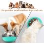 Slow Feeder Dog Bowl - Spill Proof Dog Puzzle Bowl Maze Pet Bowl to Slow Down Eating for Puppies Small Medium Dogs and Cats
