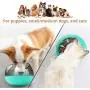 Slow Feeder Dog Bowl - Spill Proof Dog Puzzle Bowl Maze Pet Bowl to Slow Down Eating for Puppies Small Medium Dogs and Cats Slow Feeder Dog Bowl - Spill Proof Dog Puzzle Bowl Maze Pet Bowl to Slow Down Eating for Puppies Small Medium Dogs and Cats