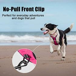 PoyPet No Pull Dog Harness, Reflective Vest Harness with 2 Leash Attachments and Easy Control Handle for Small Medium Large Dog