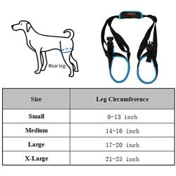 Dog Lift Harness - Dog Lift Support Harness for Weak Rear Legs, Veterinarian Approved Dog Handicap Harness Help for Small Medium Large Dogs, Adjustable Straps for Old, Disabled, Joint Injuries