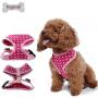 Doglemi Breathable Fashion Stars Design Mesh Dog Harness Ajustable Pet Vest Harness 3 Sizes Available