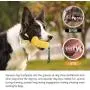 ANTOOH Dog Toys for Aggressive chewers Large Breed,Squeaky Dog Toys for Medium Large Dogs,Corn Dog Toys for Training and Cleaning Teeth ANTOOH Dog Toys for Aggressive chewers Large Breed,Squeaky Dog Toys for Medium Large Dogs,Corn Dog Toys for Training and Cleaning Teeth