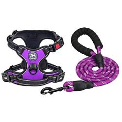 PoyPet Dog Harness and Leash Combo, Escape Proof No Pull Vest Harness, Reflective Adjustable Soft Padded Pet Harness with Handle for Small to Large Dogs(Purple,S)