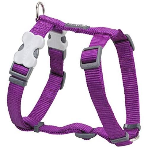 Red Dingo Plain Black Dog Collar