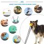 JDW Dog Toy 2 Suction Cups of Tug of War for Aggressive Chewer with 2 Squeaky Bouncing and Food Dispensing Balls (Blue and Yellow)
