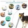 JDW Dog Toy 2 Suction Cups of Tug of War for Aggressive Chewer with 2 Squeaky Bouncing and Food Dispensing Balls (Blue and Yellow) JDW Dog Toy 2 Suction Cups of Tug of War for Aggressive Chewer with 2 Squeaky Bouncing and Food Dispensing Balls (Blue and Yellow)