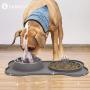 LumoLeaf Slow Feeder Mat with Stainless Steel Bowl