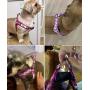 Rnker Step-in Harnesses, no Pull, Flowers Pattern hot Stamping, Neoprene Padded, Adjustable Walking, Training Dog Harness