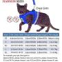 YujueShop Cat Harness and Leash Pet Vest Small Dog Harness Escape Proof Reflective Re-Adjustable Walking Soft Mesh with Pet Leash for Cats Puppies Pets