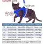 YujueShop Cat Harness and Leash Pet Vest Small Dog Harness Escape Proof Reflective Re-Adjustable Walking Soft Mesh with Pet Leash for Cats Puppies Pets YujueShop Cat Harness and Leash Pet Vest Small Dog Harness Escape Proof Reflective Re-Adjustable Walking Soft Mesh with Pet Leash for Cats Puppies Pets