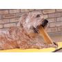 Downtown Pet Supply Himalayan Yak Dog Chew, 1 lb