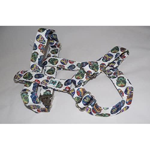 PawsGlobe Seasonal Dog Harness with Nylon Webbing Underlay and All-Metal Hardware, Adjustable Neck and Chest for Every Size (Sugar Skull, Small (Neck 6''-14'',Chest 10''-20'') 3/4'' W)