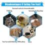 TANDD Slow Feeder Bowl, Anti-Choke Pet Bowls, Pets Water Bowl, Healthy Food Fun for Dog/Puppy