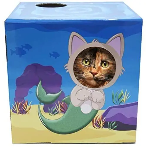 DoyenCat FunBox with Scratching Board DoyenCat FunBox with Scratching Board
