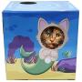 DoyenCat FunBox with Scratching Board