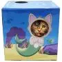 DoyenCat FunBox with Scratching Board DoyenCat FunBox with Scratching Board