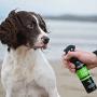 Animology Stink Bomb Deodorising Dog Spray 250ml