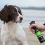 Animology Stink Bomb Deodorising Dog Spray 250ml