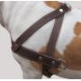 Genuine Brown Leather Dog Pulling Walking Harness XLarge. 35''-39.5'' Chest, 1.5'' Wide Straps