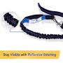 Paw Lifestyles Dog Poop Bag Holder + Matching Hands Free Dog Leash - Includes Free Roll of Dog Bags – Poop Bag Dispenser