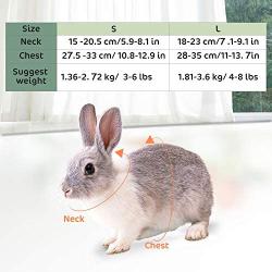 Pettom Bunny Rabbit Harness with Stretchy Leash Cute Adjustable Buckle Breathable Mesh Vest for Kitten Small Pets Walking