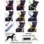 Dexil Limited Service Dog Blue Color Coded Alert Warning L XL Non Pull Dog Harness Prevents Accidents by Warning Others of Your Dog in Advance