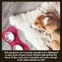 Iconic Pet Colour Splash Designer Bone Shape Fusion Pet Diner